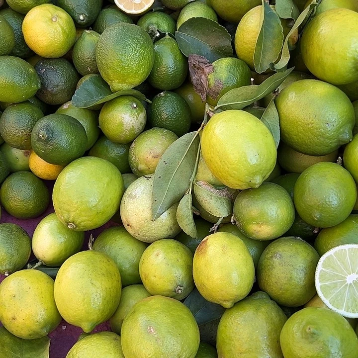 中国大陆混搭柠檬4斤