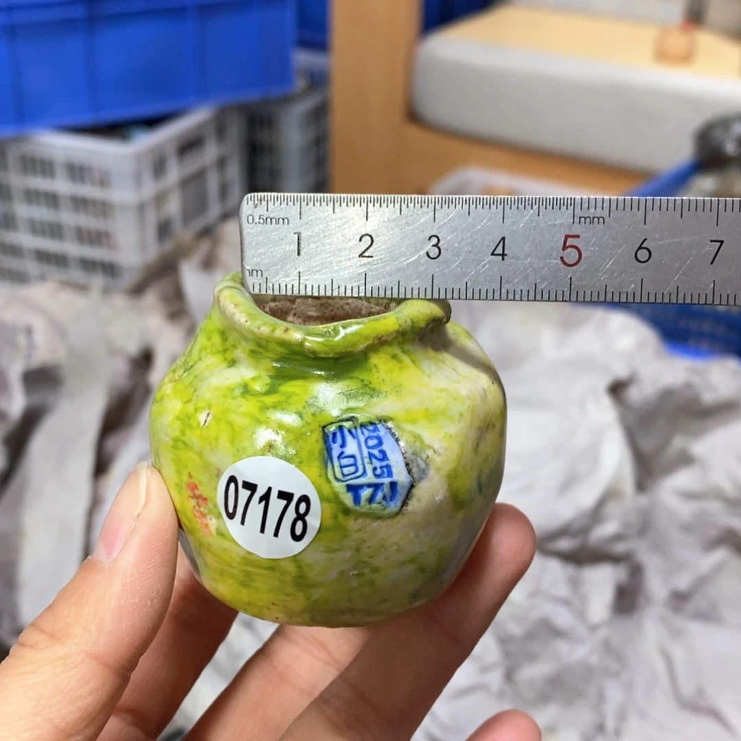 花盆拍3送一个小礼物