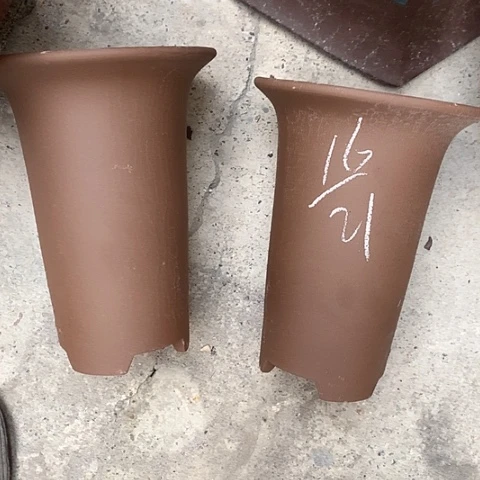紫砂花盆 婚纱照的