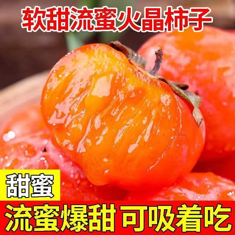 火晶柿子30枚 新鲜青黄柿子需催熟当季火晶柿子