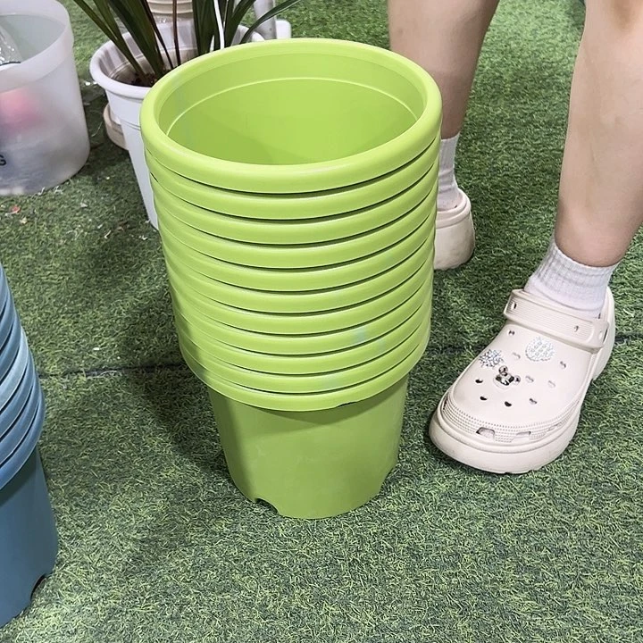 微瑕3号四季盆口21高18果绿色无托11只