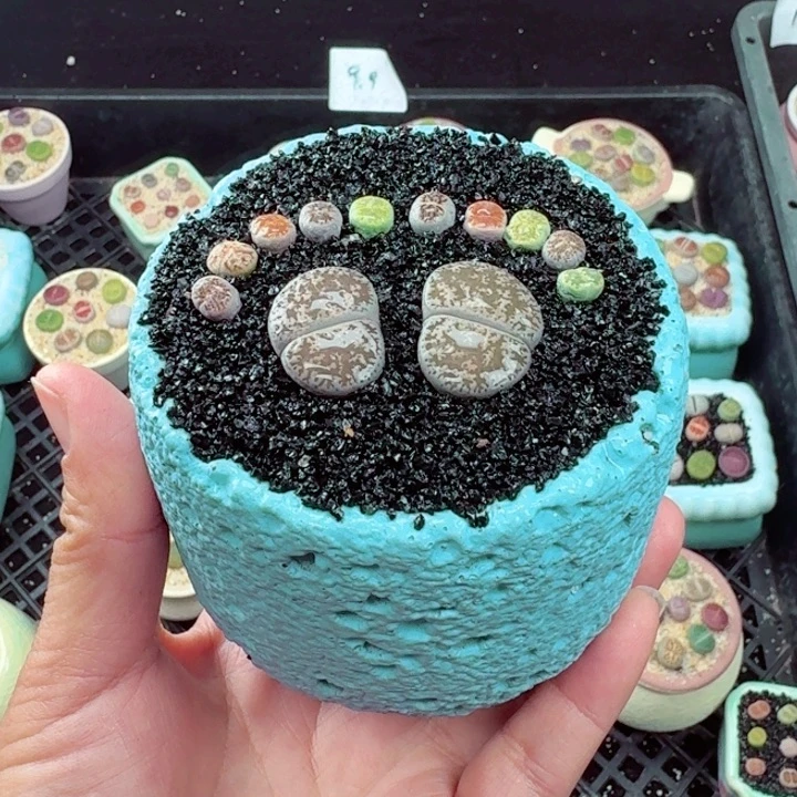 908凑满18包邮零下地区记得拍保温箱