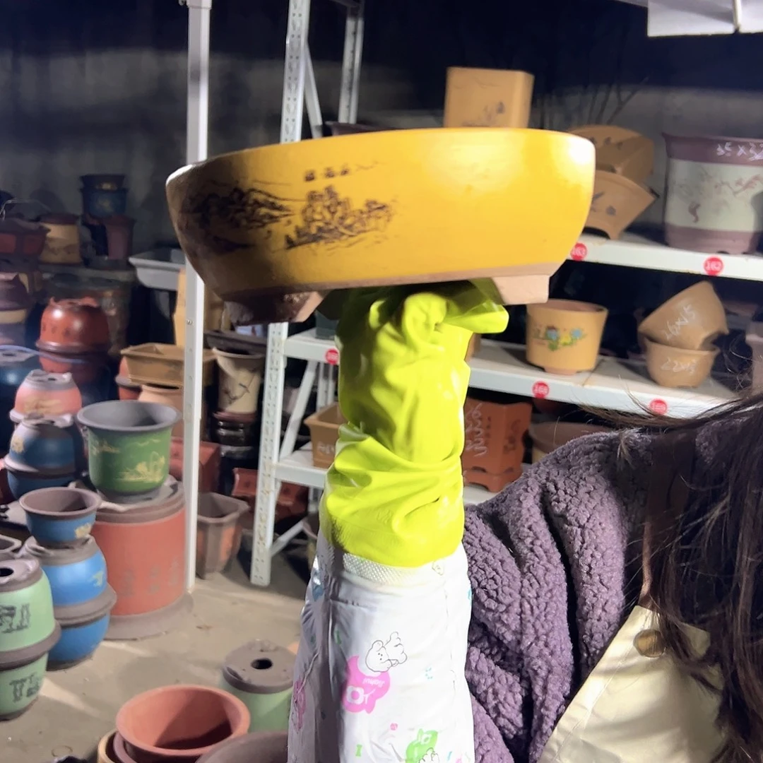 22黄色江山如画花盆花盆花盆