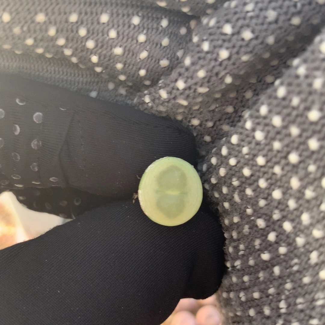 933紫皮拉登一颗