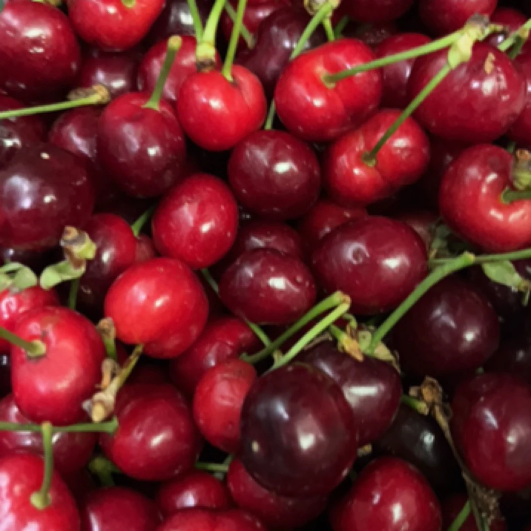 汉源套光果红灯樱桃J（小果一斤）红灯
