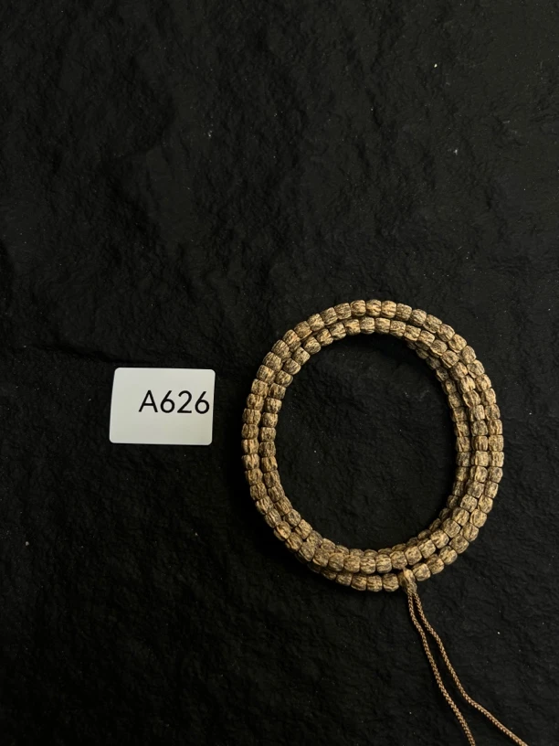 热振柏香籽 脏脏龙脊顺 A626