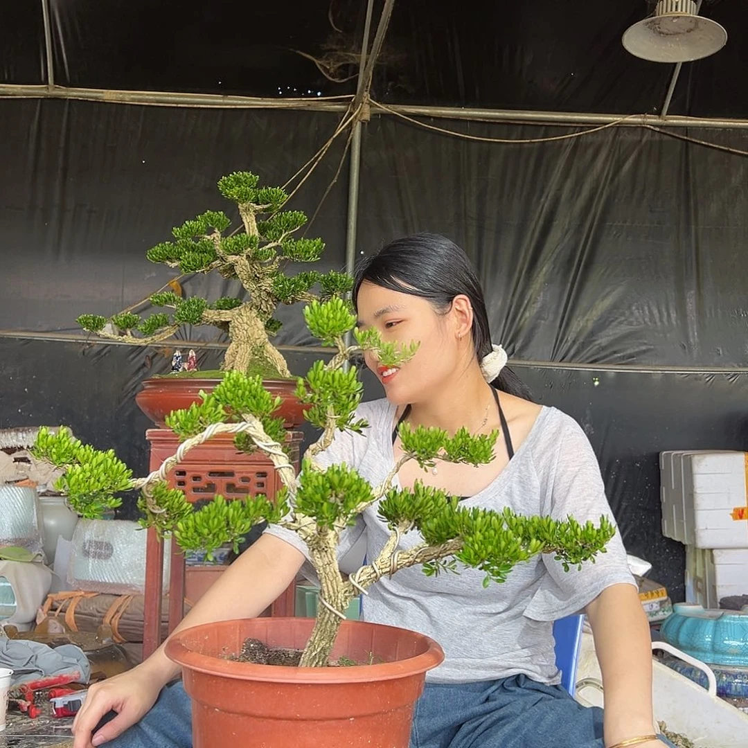 琉璃手工艺品黄杨盆景