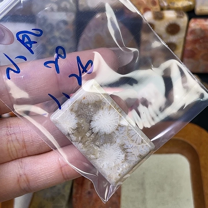 硅化珊瑚（珊瑚玉）珠宝金石合金小*