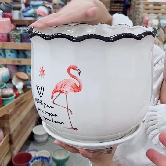 花盆凑单福利满10元发货！