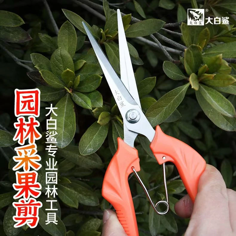 疏花树剪疏果剪多功能花艺剪枝修花省力加厚不锈钢修枝家用剪刀