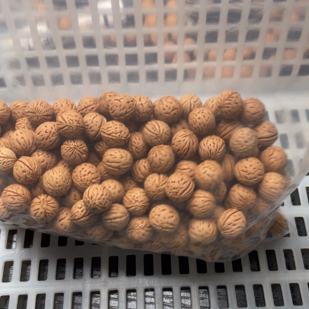 【闪购商品】x***宇散子160福利不退不换