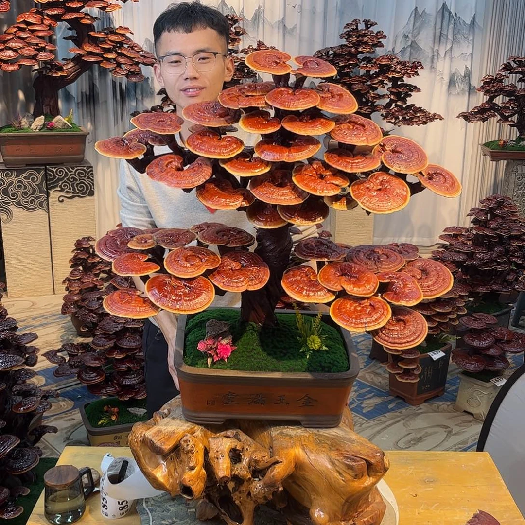 无花朵88888888888888