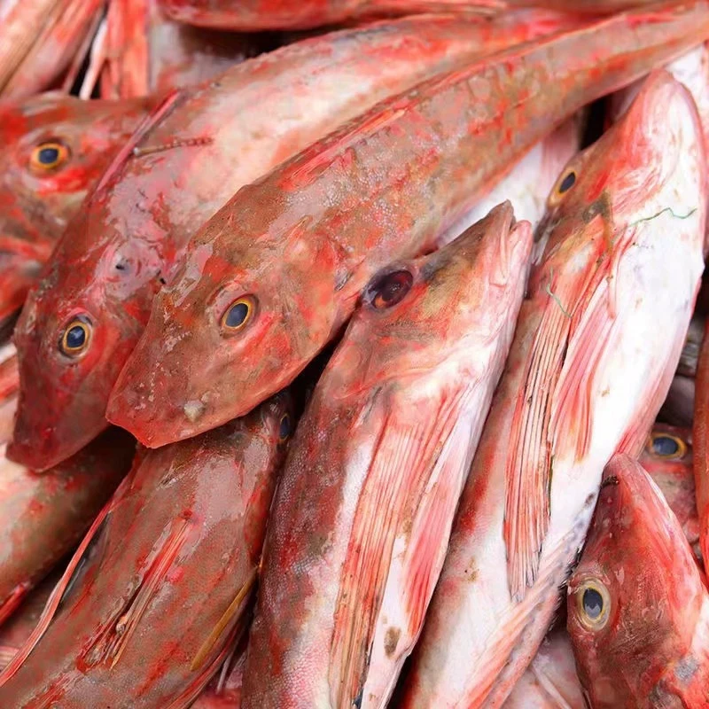 【东海野生红娘子鱼4斤】大红头鱼海捕