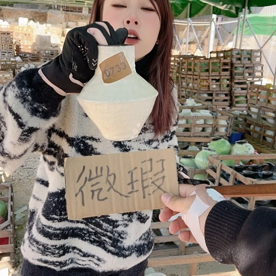 陶瓷微瑕介意勿拍