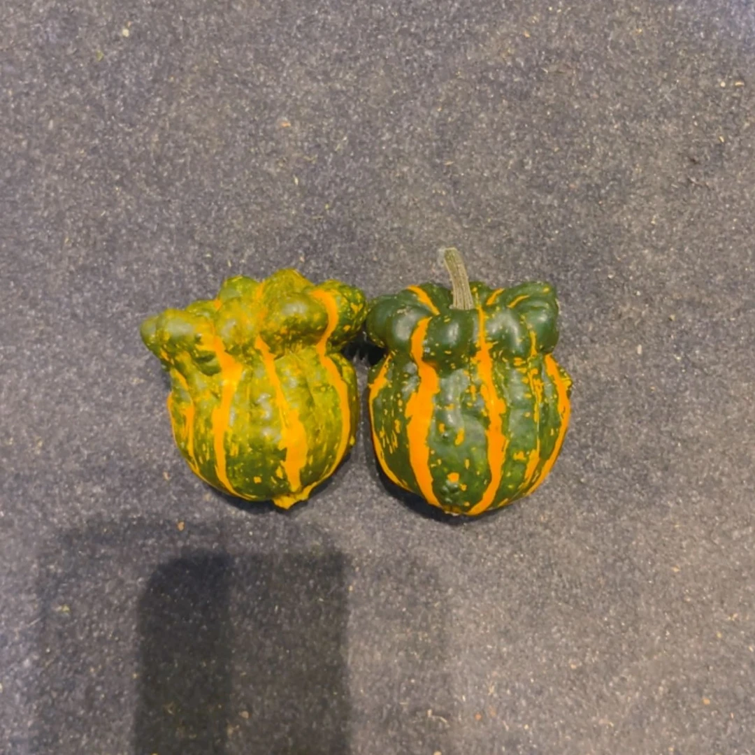 【闪购商品】微***）哈哈哈哈哈哈哈哈哈哈