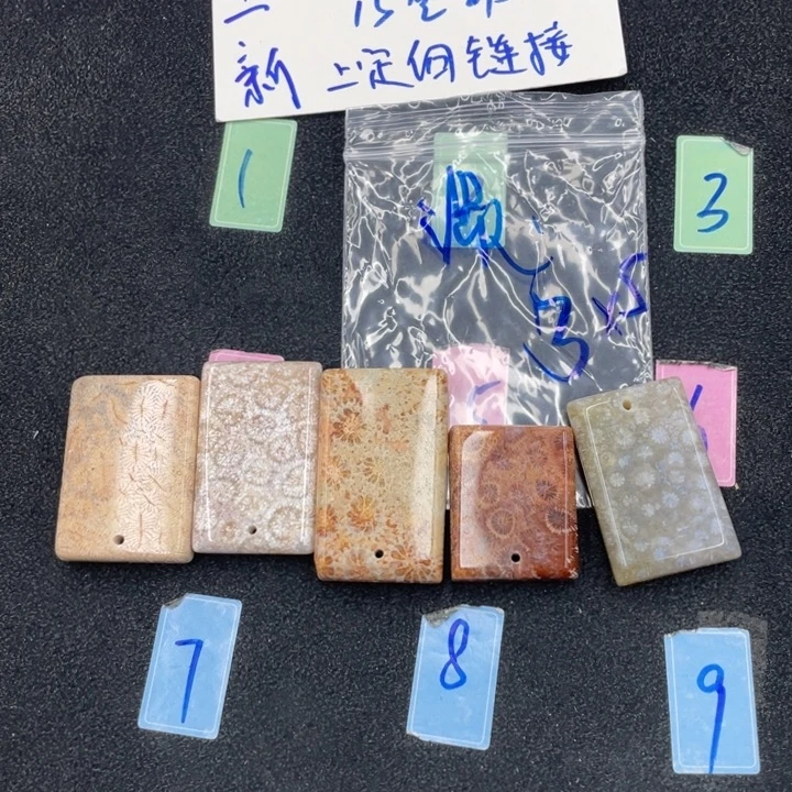 淡***然硅化珊瑚（珊瑚玉）合金颈饰