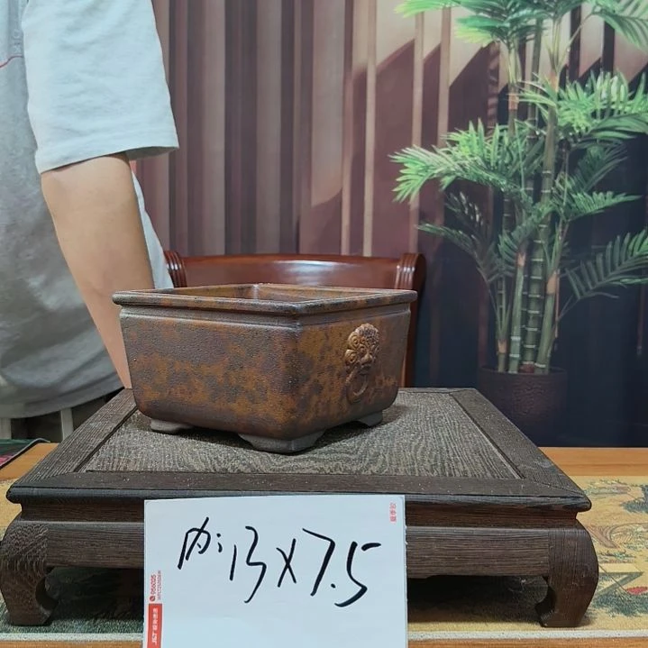 来来来啦咯啦咯啦咯