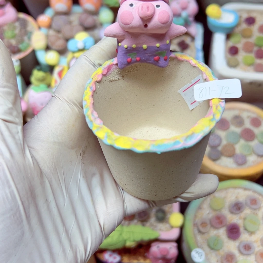 乳****精致优秀的肉肉811-72