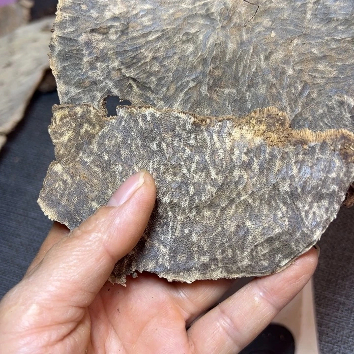 沉香碎屑沉香天然沉香板头24克