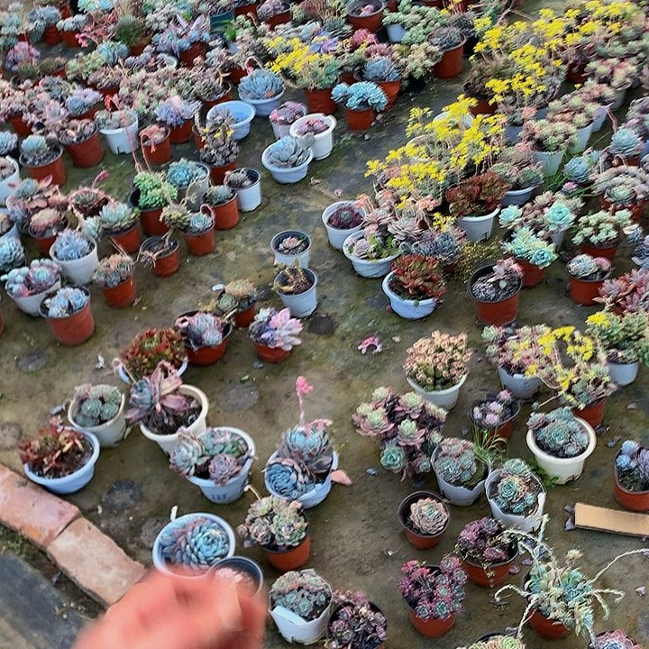 两片350-000000000000