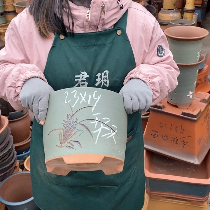 紫砂花盆盆栽花卉苗木种植