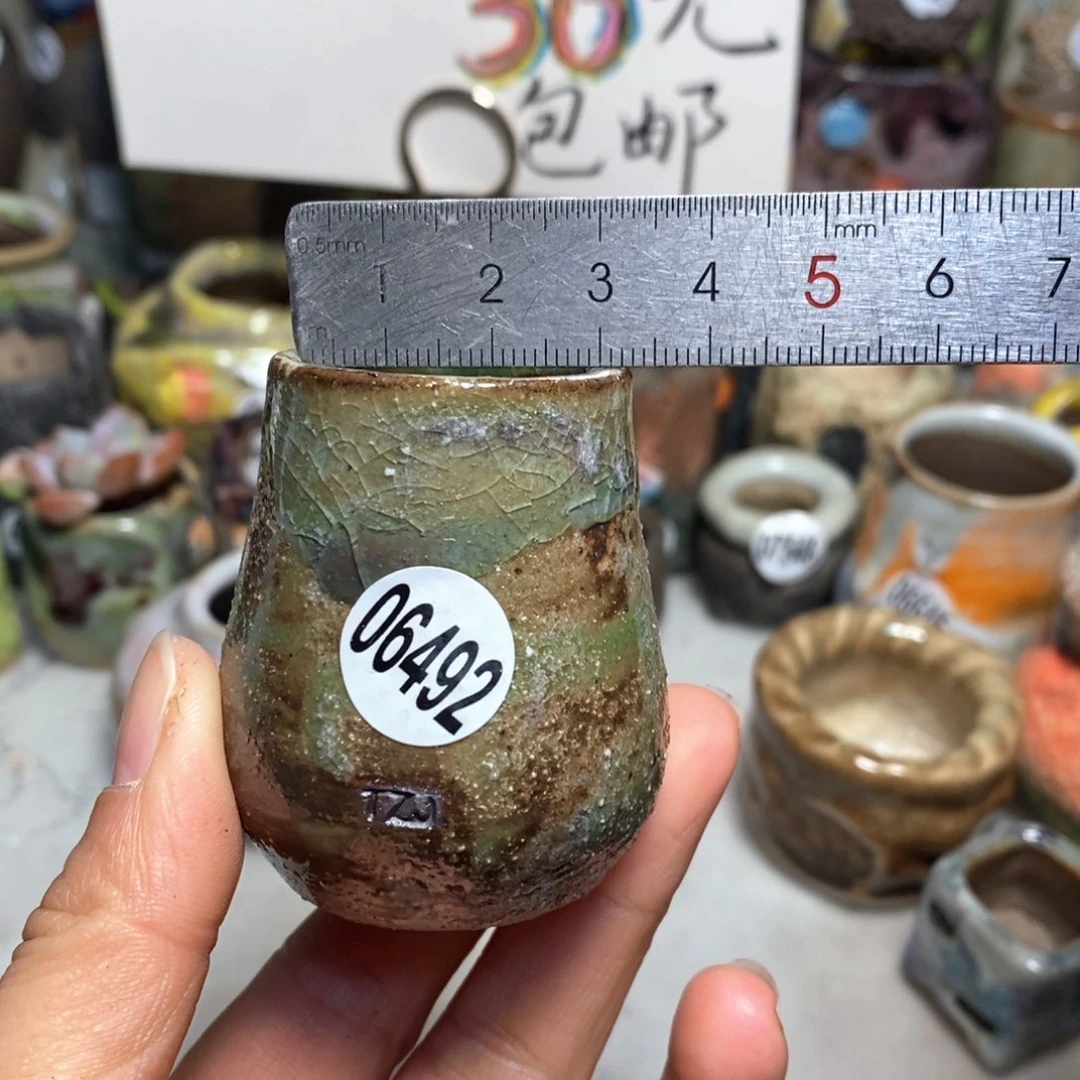 花盆拍5送一个小礼物