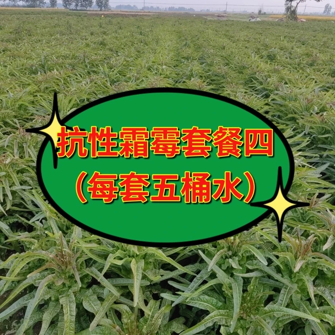 抗性霜霉套餐四治疗型碧-希-洛（每套5桶水）