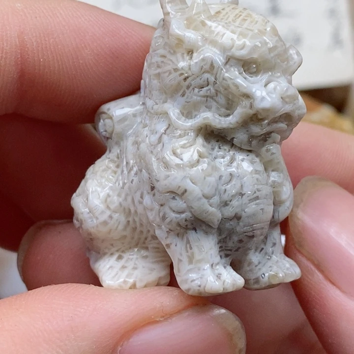 颈饰未镶嵌硅化珊瑚(珊瑚玉)