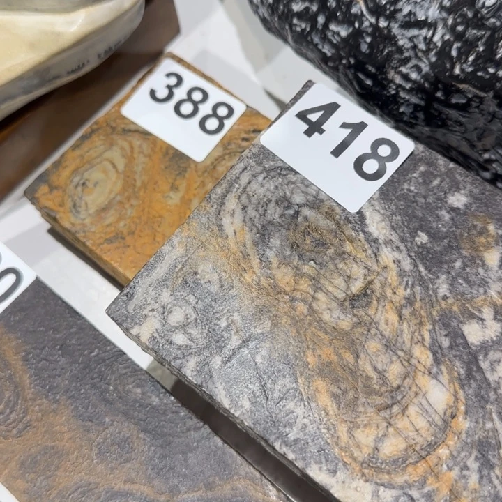 11111111予****舍111111111