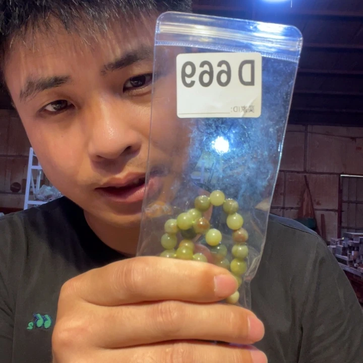 大叶紫檀（黑酸枝木类）669