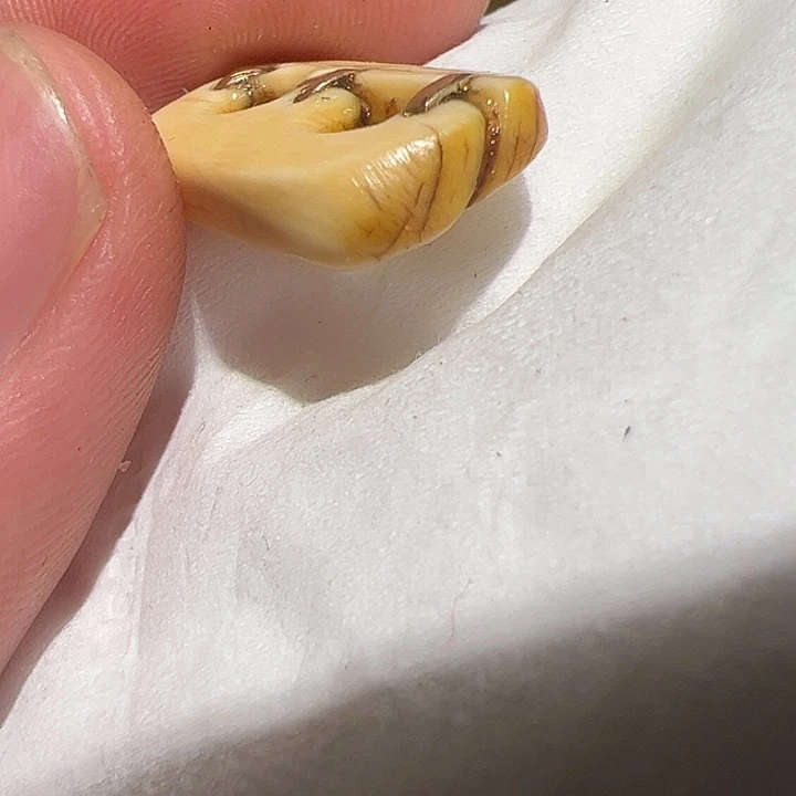 玻璃颈饰在这里的