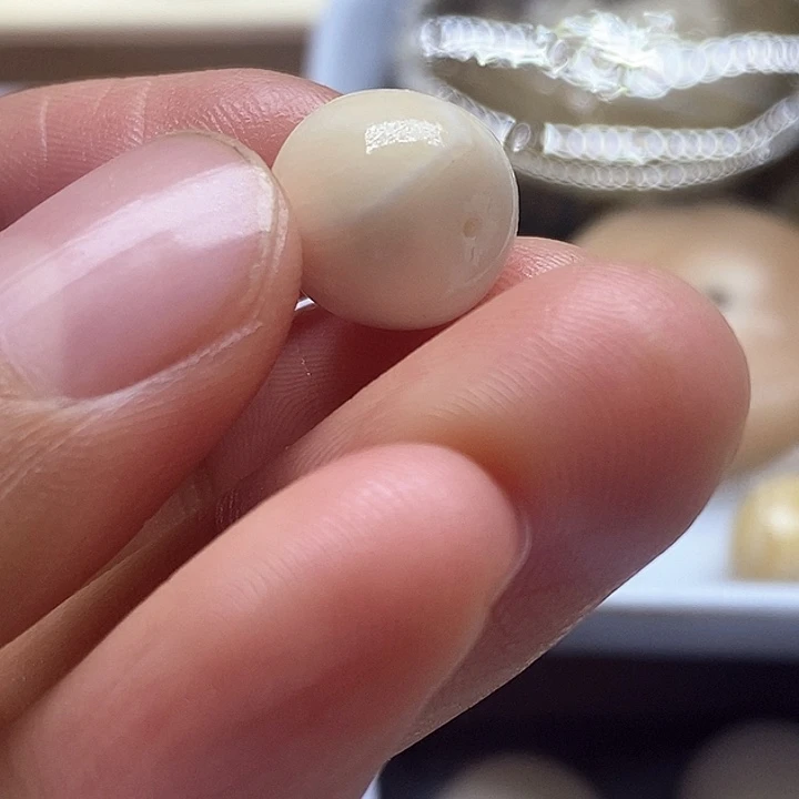 贝壳手串/手链欧*。11.3成11.2皮肉老邢朱