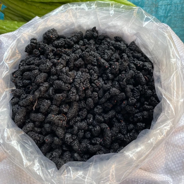 【农家靓货】农家生晒桑葚