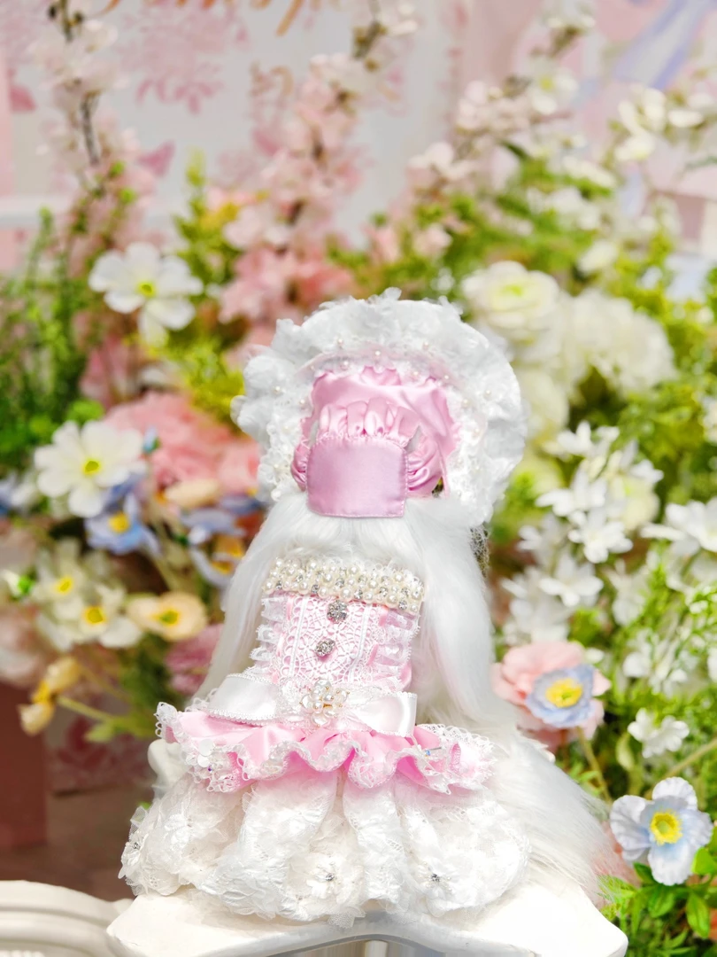 宠物衣服2025春夏新款珍妮的旅途 三色可选（帽子单独购买）