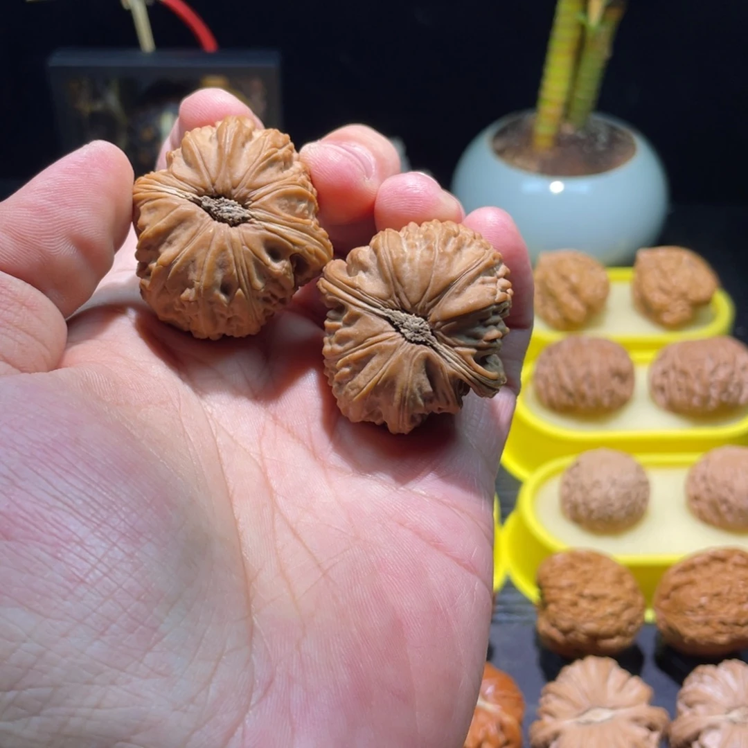 文玩核桃把件39全品卡姿兰满肉红皮球白