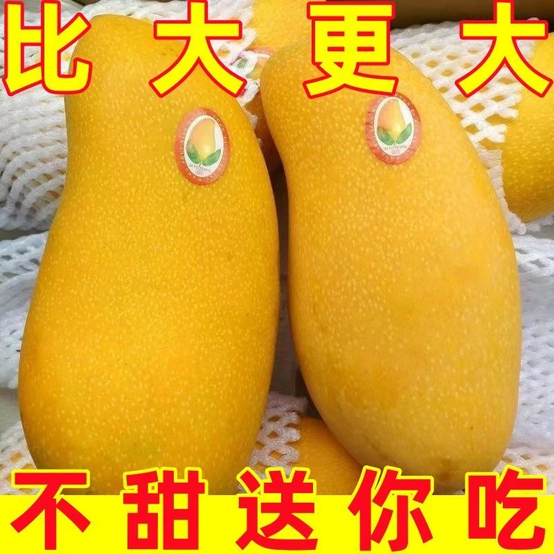 【大果】现摘正宗海南金煌芒爆甜大芒果贵妃小台新鲜水果新品