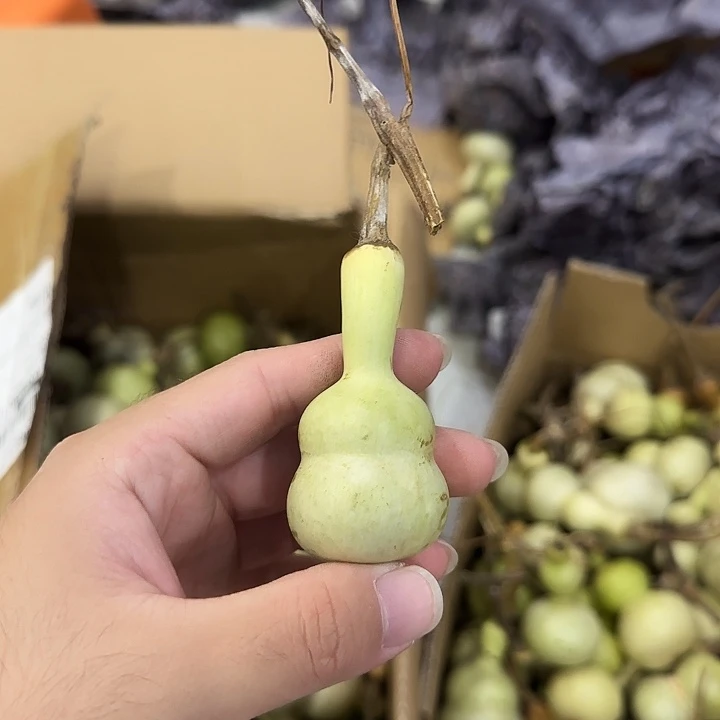 圆***圆葫芦djdndndndndndndnd