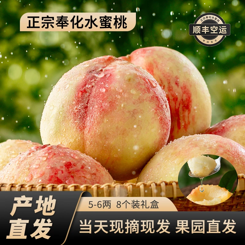 正宗奉化水蜜桃5-6两8个礼盒装新鲜现摘当季软桃多汁产地直发