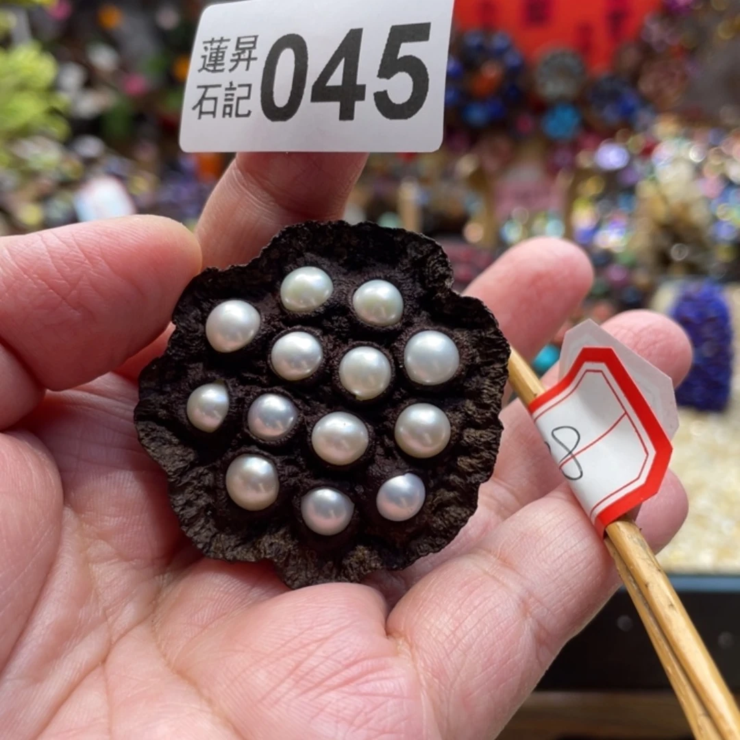 核桃木/黑胡桃（胡桃木）风****^045珍珍杆