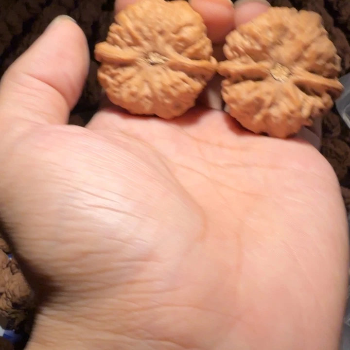 東***s文玩核桃吊坠蛤蟆的眼睛是真的好看