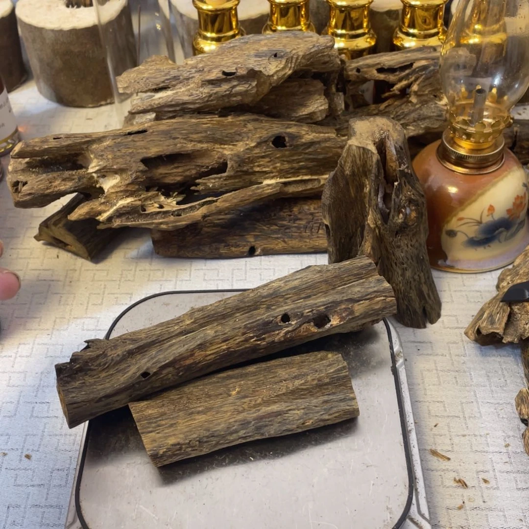 沉香沉香碎屑虫漏