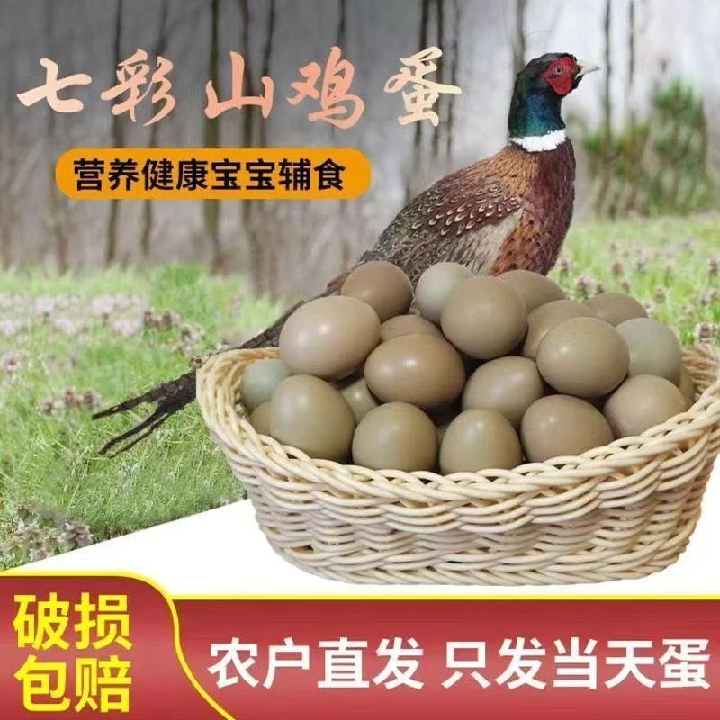 七彩山鸡蛋新鲜正宗户外散养30/60枚