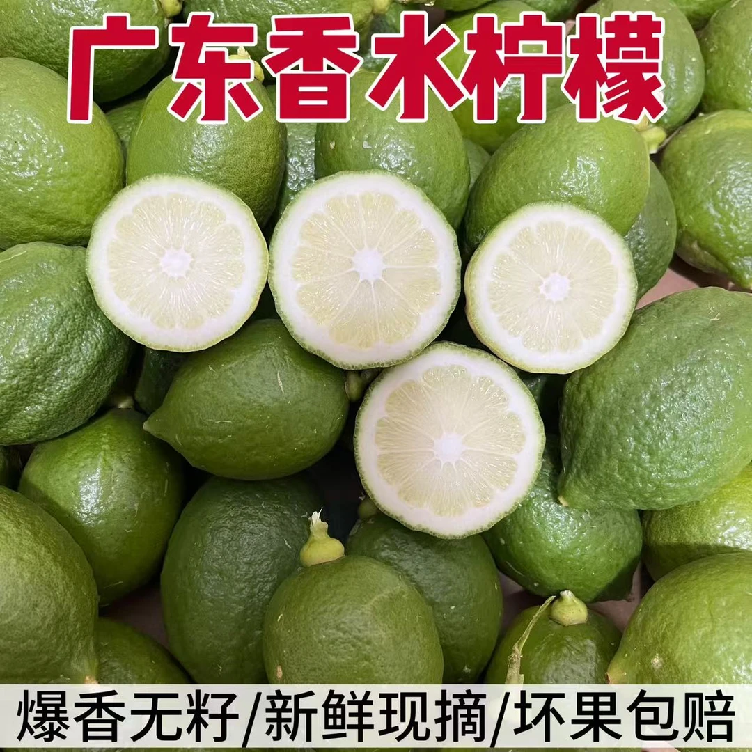 广东一级香水柠檬正宗新鲜无籽爆香采摘现货现发水果批发奶茶商用