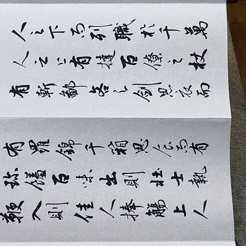 用***9扇子寒窑赋行书册页作品