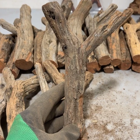 大果紫檀（缅甸花梨）临****）