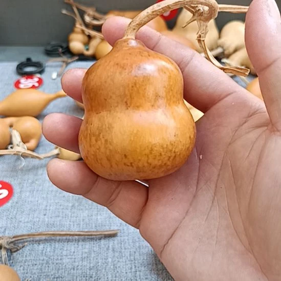哈哈哈哈哈哈哈噜啦啦噜啦啦