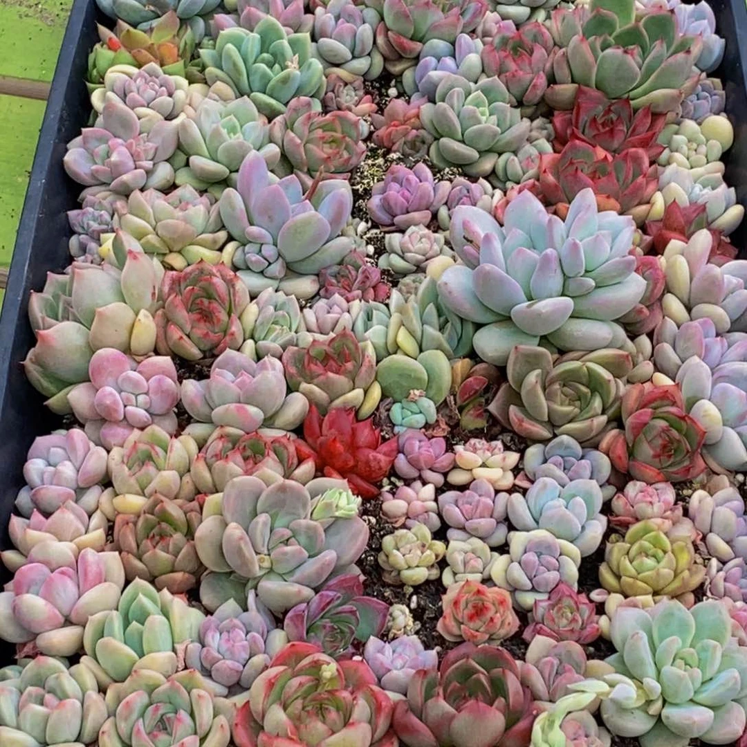 170的人在一起的时候我也