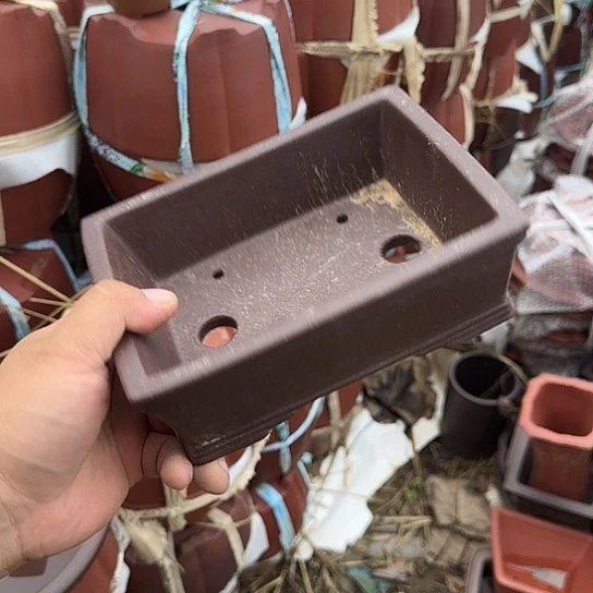 我想说什么我会和他们商量我想