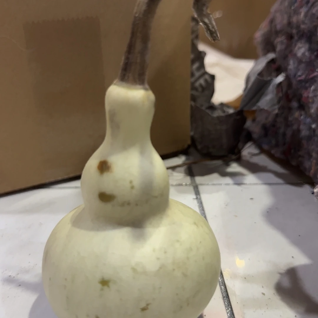 葫芦嘎嘎嘎嘎嘎hhh观后感