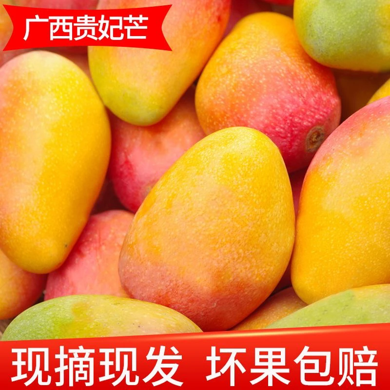 广西百色贵妃芒果树上熟新鲜应季水果催熟食用整箱包邮